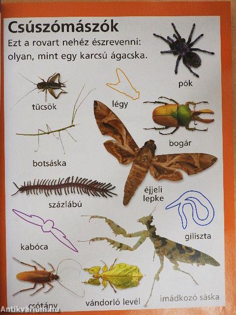 Nagy matricás könyvem