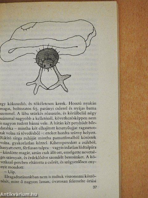 A részeg erdő