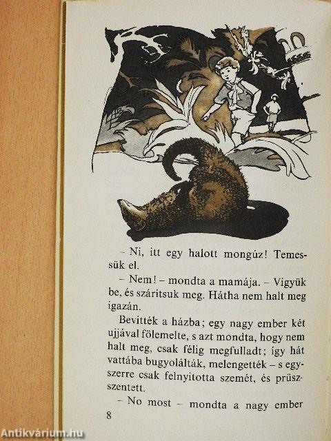 Riki-tiki-tévi