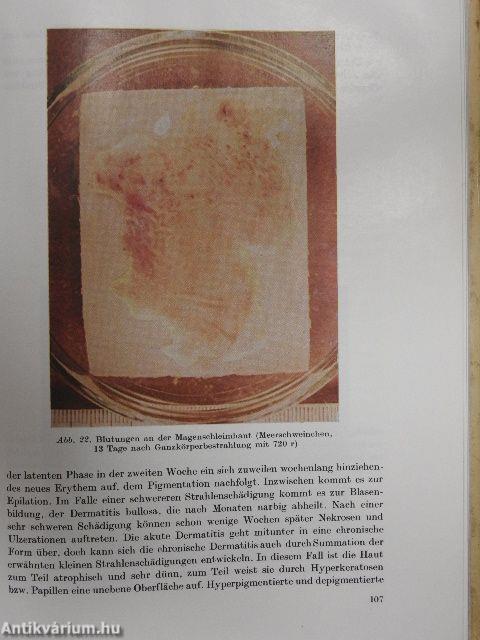 Strahlenbiologie