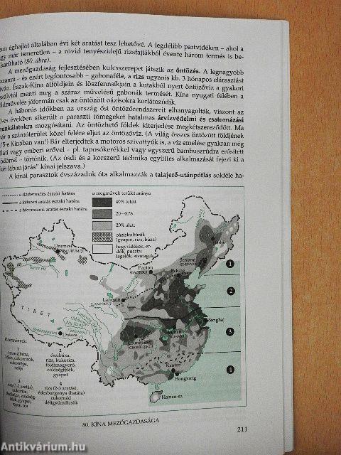 Regionális földrajz