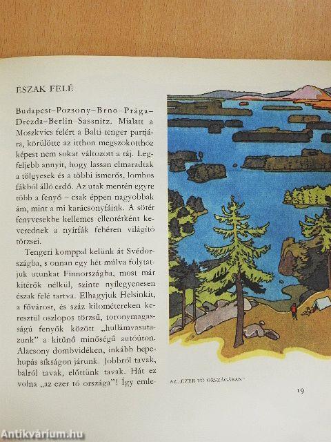 Amiről a jégvilág mesél