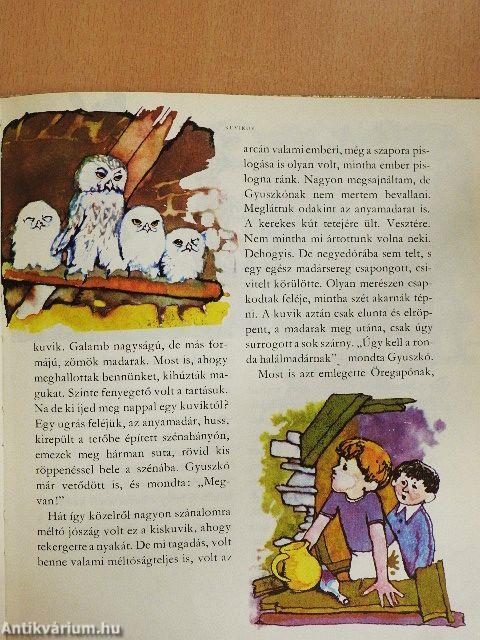 Öregapó madarai