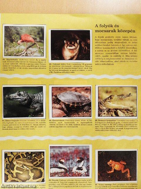 WWF - Védett állatok