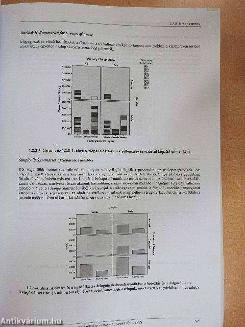 Bevezetés az IBM SPSS Statistics programrendszerbe