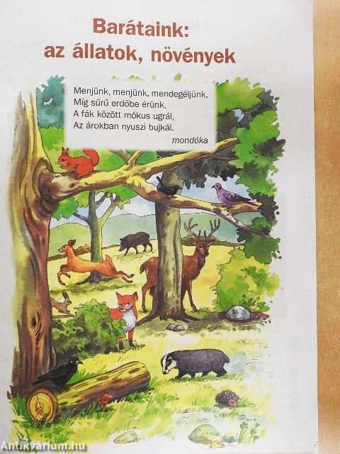 Első olvasókönyvem 1.