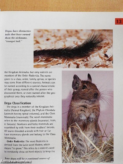 Degus