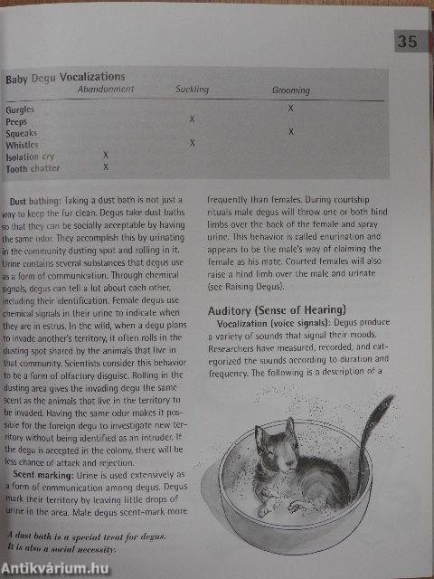 Degus