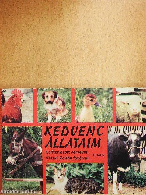 Kedvenc állataim
