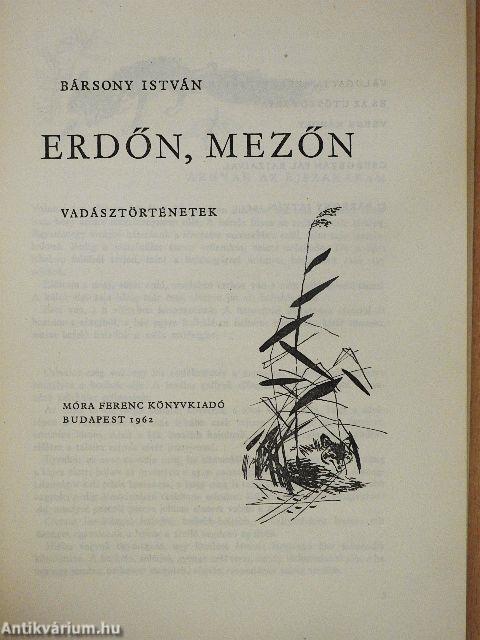 Erdőn, mezőn
