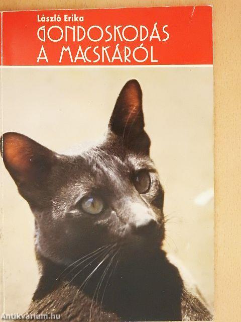 Gondoskodás a macskáról