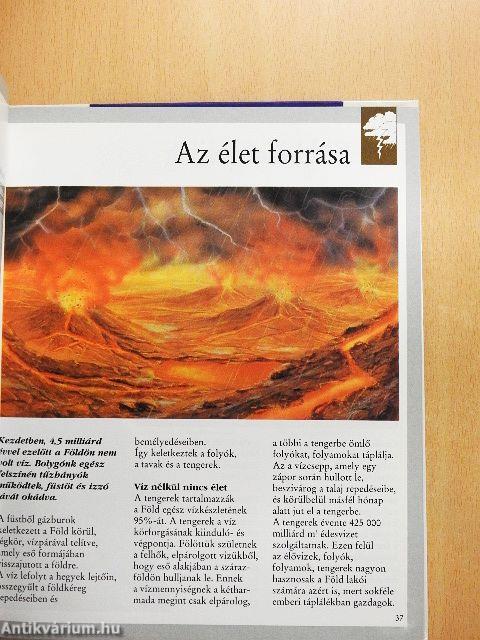 Természet