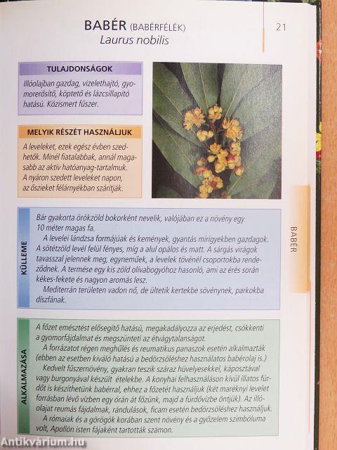 Egészséges Életmód 1-20.