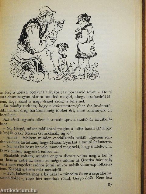 Kincskereső kisködmön