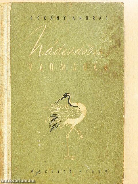 Náderdőben vadmadár