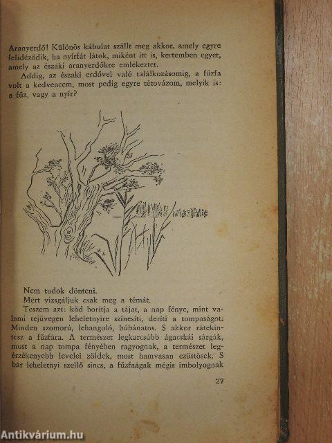 Náderdőben vadmadár