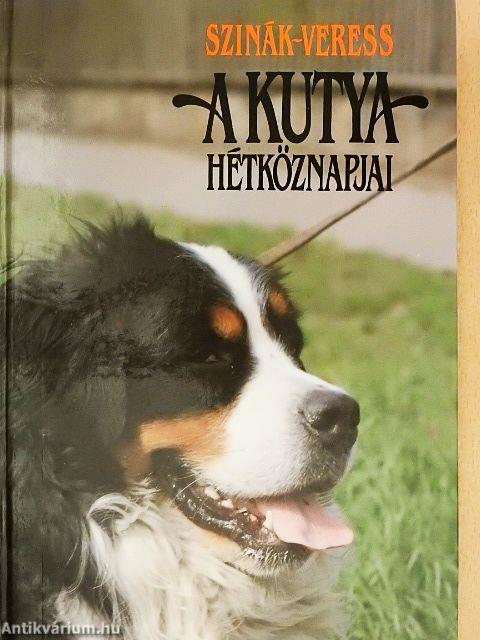 A kutya hétköznapjai