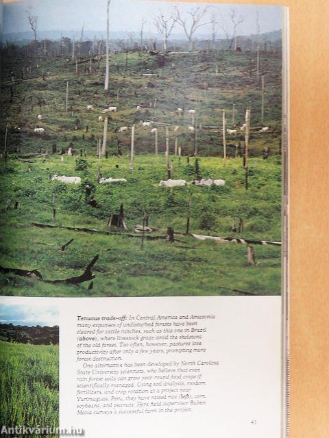 National Geographic January-December 1983. 