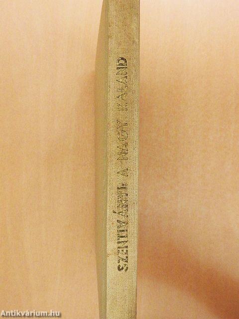 A nagy kaland