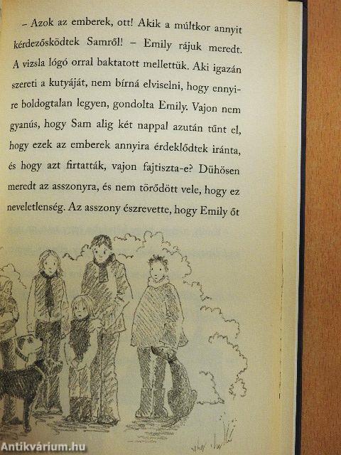Az ellopott kiskutya