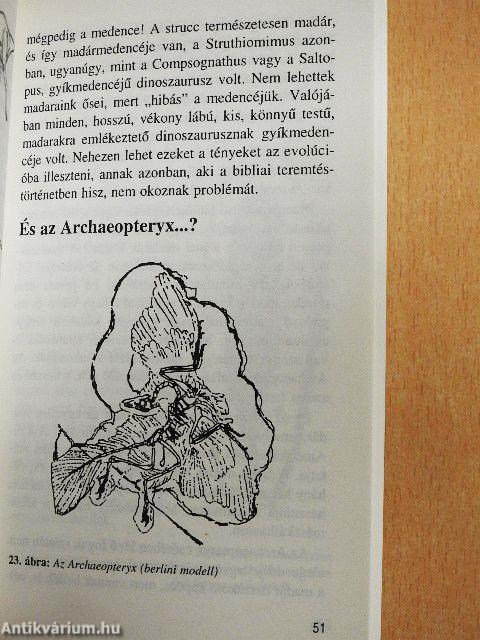 Utazás a dinoszauruszok korába