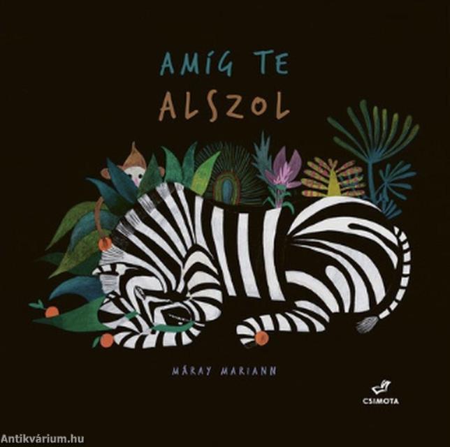 Amíg te alszol