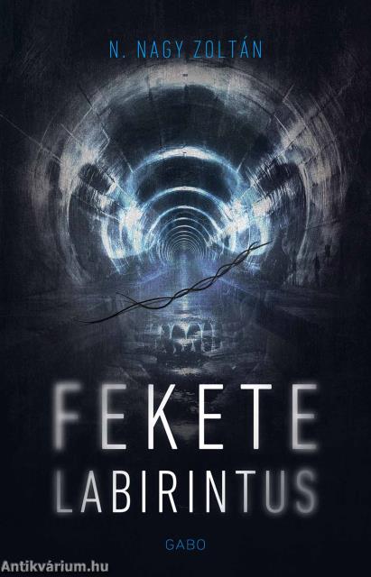 Fekete labirintus