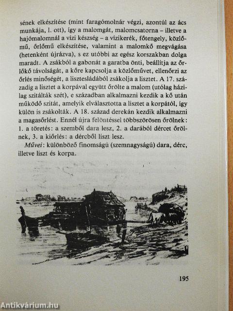Mestere volt egykor...