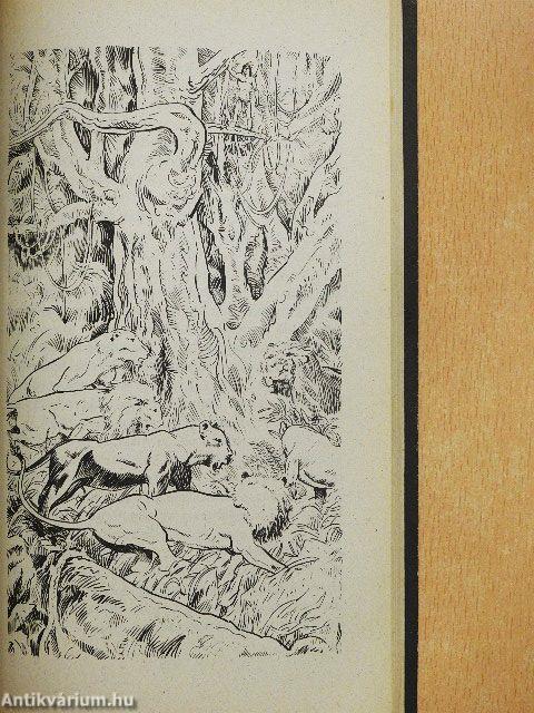 Tarzan és a párducemberek