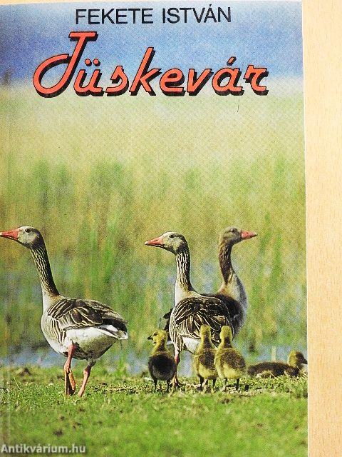 Tüskevár