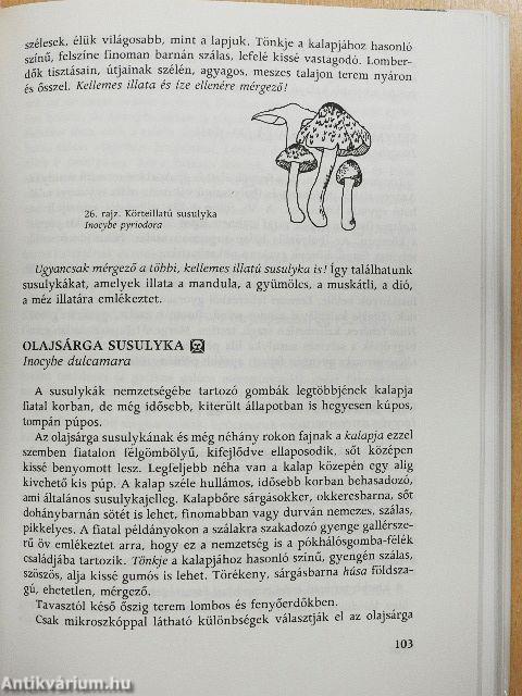 Gombászkönyv