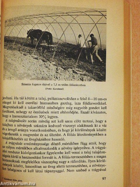 Kertészet fólia alatt