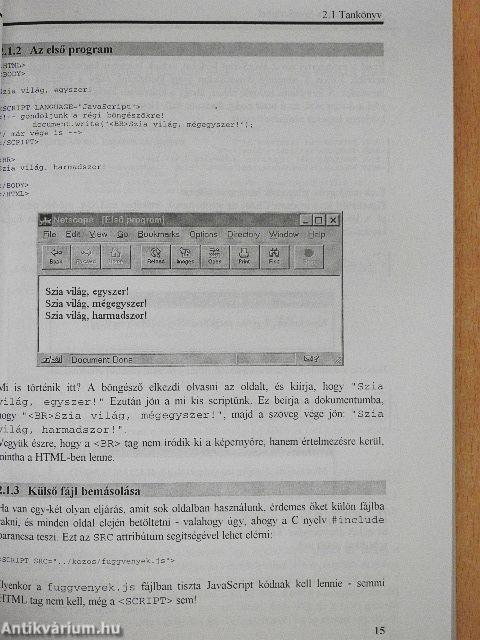 JavaScript