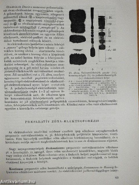 Laboratóriumi diagnosztika