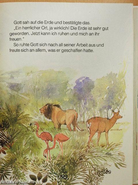 Meine Bibel 1-2.