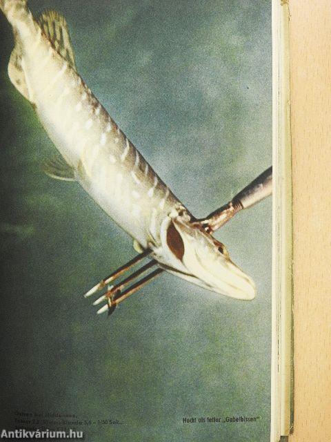 Bezwungene Tiefen
