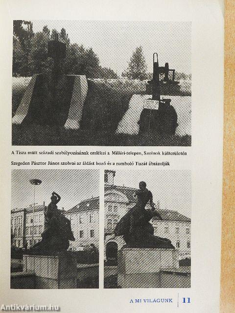 Harc a vízért és a víz ellen