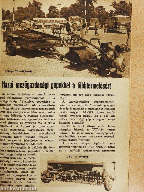 Mit és hogyan termeljünk exportra?