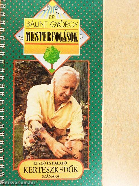 Mesterfogások