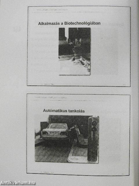 A mesterséges intelligencia alapjai