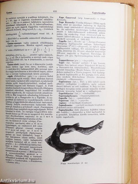 Természettudományi lexikon 1-7.