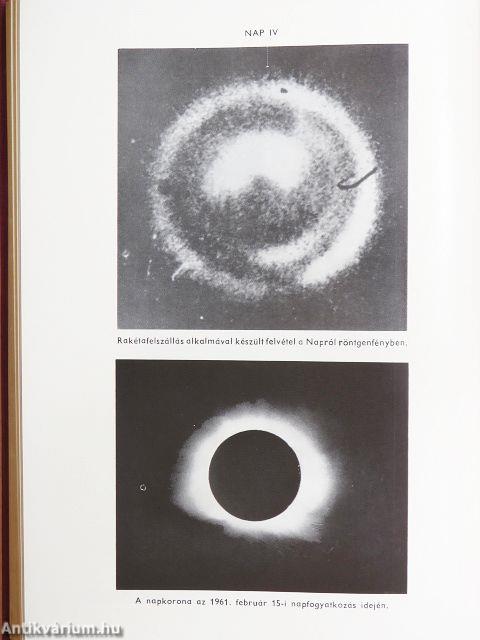 Természettudományi lexikon 1-7.