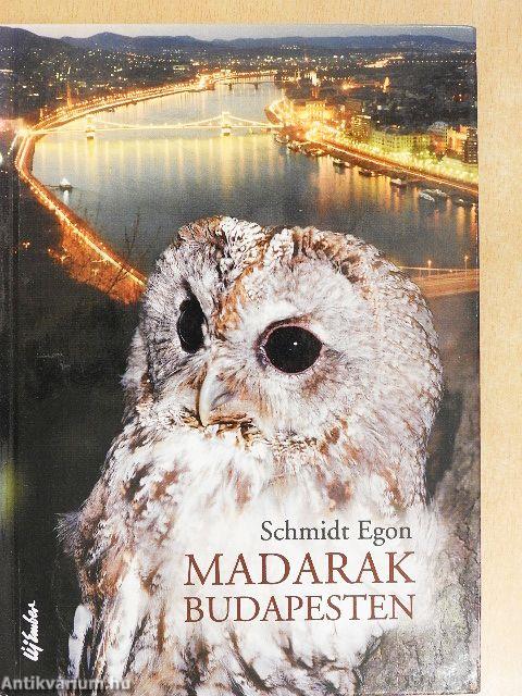 Madarak Budapesten