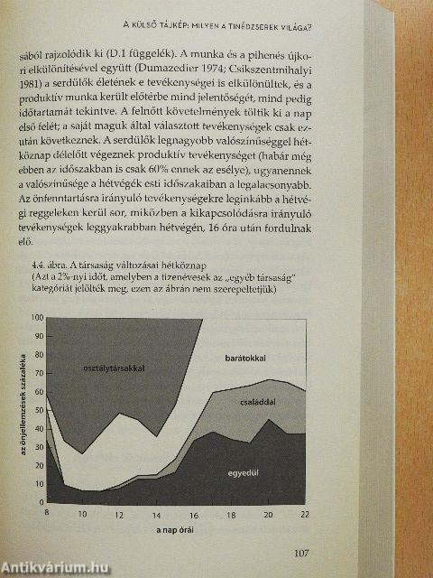 Kamasznak lenni