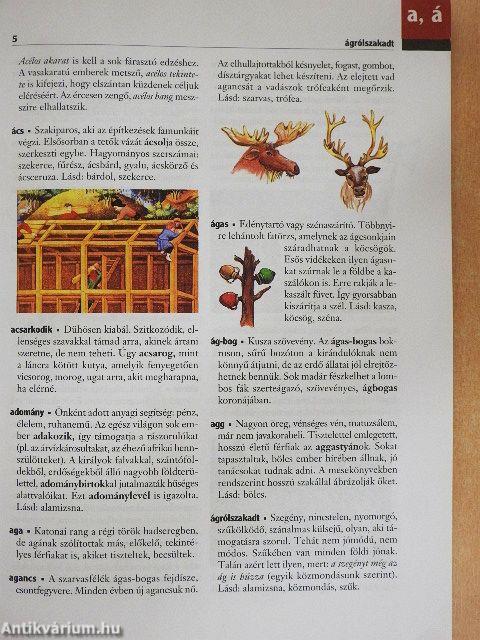 Szóbúvár