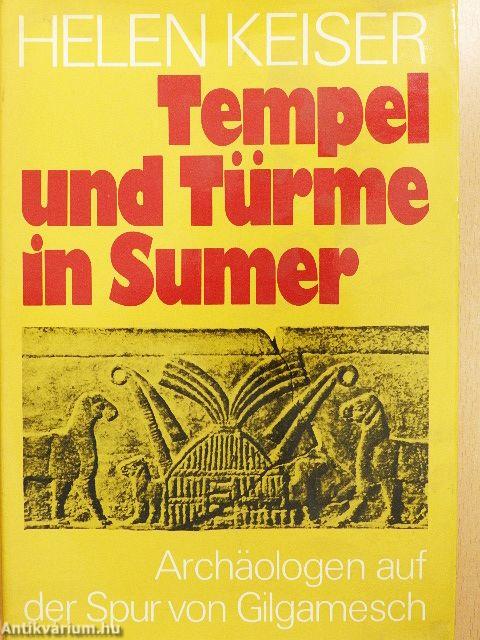 Tempel und Türme in Sumer