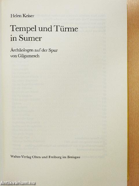 Tempel und Türme in Sumer