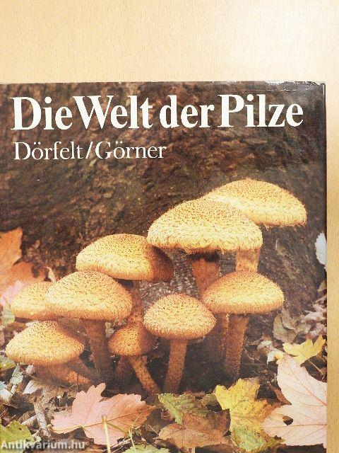 Die Welt der Pilze