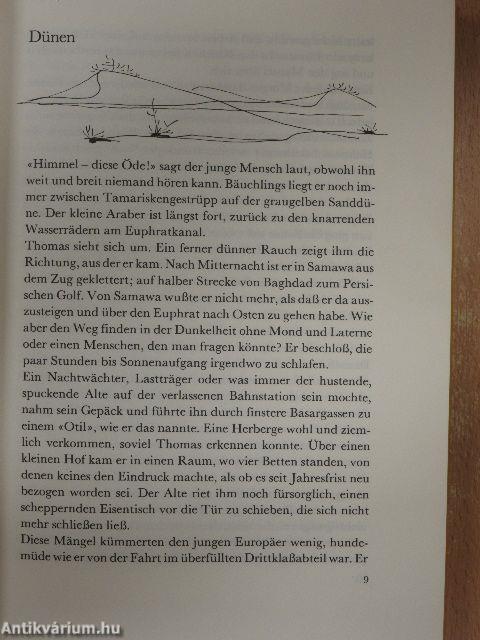 Tempel und Türme in Sumer