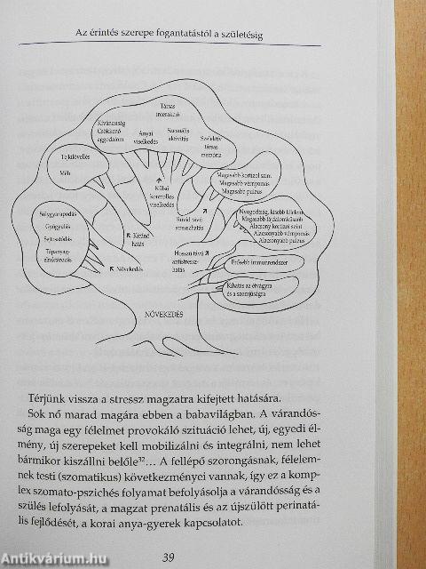 Az érintés hatalma